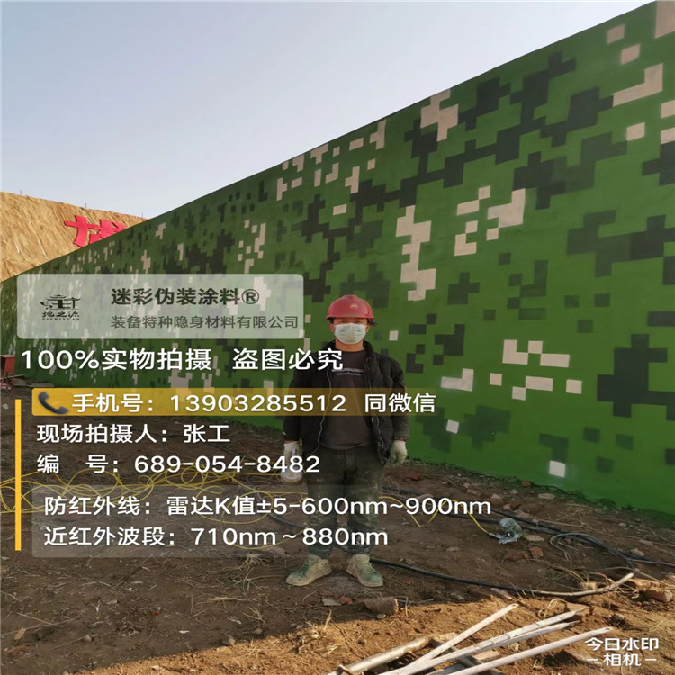 株洲外墙迷彩漆施工注意事项(通用 + 数码专属)